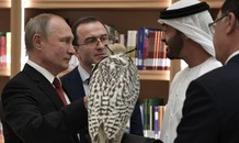 Ông Putin tặng chim ưng quý cho Thái tử UAE và nhận lại món quà bất ngờ