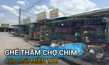 Ghé thăm chợ chim trời lớn nhất miền Tây