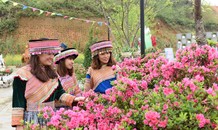 Sun World Fansipan Legend: Đỗ quyên Hoàng Liên đã vào mùa
