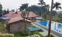 Trang trại nuôi bò thành khu du lịch sinh thái 'khủng' trái phép