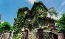 Biệt thự 3 tầng phủ kín cây xanh giữa lòng Hà Nội
