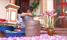 Chàng trai bỏ nghề kỹ sư đi ướp trà sen thu hàng trăm triệu mỗi năm