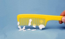 Vì sao lược nhựa hút được giấy?