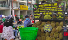 Độc lạ ở Sài Gòn: Bán sầu riêng dạo trên ô tô tiền tỷ