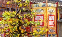 Mãn nhãn với ‘Hương xưa bánh Tết’ trong Hoàng cung Huế