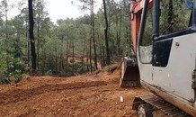 Vụ đốn cây mở đường cao tốc đe dọa người đi trên QL1: Báo cáo thiếu trung thực?
