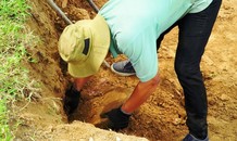 Xem công nhân kỳ công gỡ, nhặt từng vỉa đá cổ trùng tu kè bảo vệ Kinh thành Huế