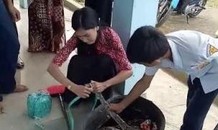 Trăn 3m ‘làm loạn’ lớp học, cô giáo tức mình bắt sống bằng tay không