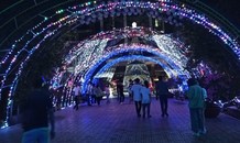 Rực rỡ 'khu vườn Giáng sinh' của sinh viên Sư phạm Kỹ thuật TPHCM
