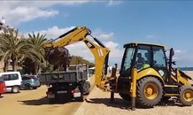 Rùa khổng lồ nặng 500kg, phải dùng máy xúc để nhấc lên