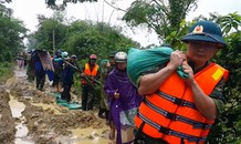 300 người vác cát, đóng cọc cứu đê sắp vỡ