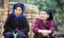 Nguyên nhân làm con người già đi