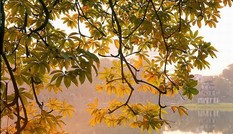 Hà Nội se lạnh, Sài Gòn nắng nóng cục bộ