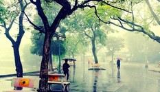 Ngày mai 13/11, Hà Nội nhiều mây, có mưa nhỏ