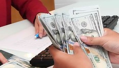 Giá USD và vàng cùng đi lên Giá USD và vàng cùng đi lên