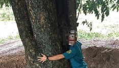 Sẽ xử lý hình sự vụ cán bộ tiếp tay 'đào trộm' gỗ quý hồ Dầu Tiếng
