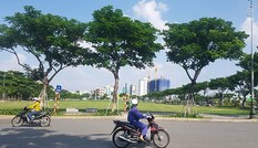 Đà Nẵng hủy kết quả đấu giá lô 'đất vàng' của Vipico