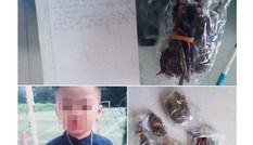 Thực hư bài thuốc gia truyền sinh con trai Thực hư bài thuốc gia truyền sinh con trai