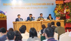 ĐHCĐ HQC: Đặt mục tiêu tăng doanh thu gấp 3 lần năm 2018