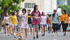Chó không rọ mõm tung tăng trên phố đi bộ hồ Gươm