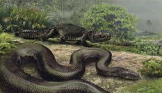 Quái vật rắn khổng lồ Titanoboa vẫn còn sống ở rừng Amazon? Quái vật rắn khổng lồ Titanoboa vẫn còn sống ở rừng Amazon?