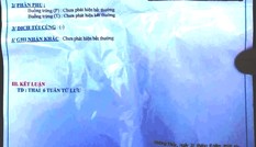 Suýt phá bỏ thai vì bác sỹ chẩn đoán sai?