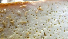 Phomat giòi - đặc sản cấm của Italy Phomat giòi - đặc sản cấm của Italy