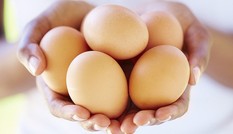 Làm thế nào để phân biệt trứng sống, trứng chín? Làm thế nào để phân biệt trứng sống, trứng chín?