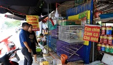 Phố bày bán chim phóng sinh ở Hà Nội nhộn nhịp 'tháng cô hồn'