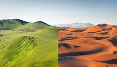 Điều gì xảy ra nếu sa mạc Sahara phủ kín cây xanh?