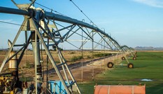 Công nghệ trồng cây trên sa mạc