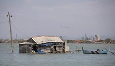 Ngôi làng đang chìm dần xuống biển ở Indonesia