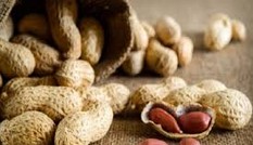 Thủ phạm gây hại cho gan từ 300.000 loại nấm mốc