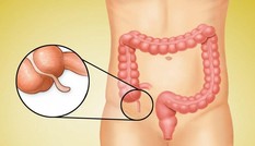 5 công dụng của ruột thừa không phải ai cũng biết