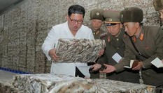 Triều Tiên tung loạt ảnh ông Kim thăm nhà máy cá