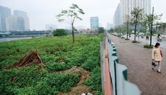 Thanh tra việc chuyển nhượng “đất vàng” tại Hà Nội