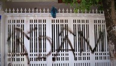 Vợ nguyên Viện phó VKS Đà Nẵng Nguyễn Hữu Linh gửi đơn tố cáo bị làm nhục