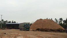 Tháo dỡ 26 cơ sở băm dăm gỗ không phép