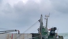 Tàu hàng nguy cơ chìm, cứu thành công 18 thuyền viên