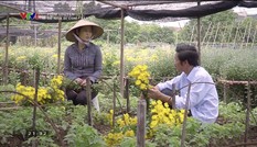 Về nhà đi con tập 46: Ông Sơn yêu cô bán hoa?