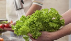 Sai lầm khi rửa rau sống nhiều người mắc