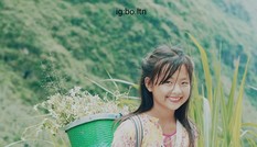 Cô bé xinh xắn bán hoa ven đường ở Hà Giang bất ngờ nổi tiếng