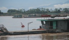 Chủ tịch Hà Nội 'truy' lãnh đạo Ba Vì về cát tặc