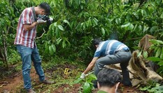 Sợi tóc trên chiếc lá hé lộ 3 bà cháu ở Lâm Đồng bị sát hại