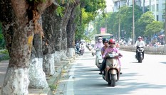 Thời tiết 7 ngày tới trên cả nước ra sao?