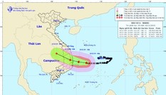 Bão số 6 cách đất liền 300km, cảnh báo ngập úng các đô thị