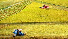 Bộ Tài chính xin miễn, giảm 7.500 tỷ đồng thuế sử dụng đất nông nghiệp