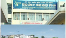 Phơi lộ thêm nhiều sai phạm tại Tổng công ty Nông nghiệp Sài Gòn