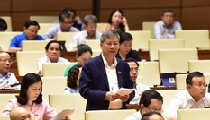 ĐBQH: Xử nghiêm người Trung Quốc phạm tội ở Việt Nam
