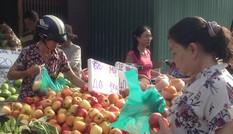 Táo Mỹ 40.000 đồng/kg ngập chợ Sài Gòn